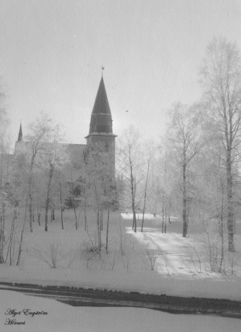 AE Vinter